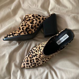 Steve Madden | Savina Leopard Mules
